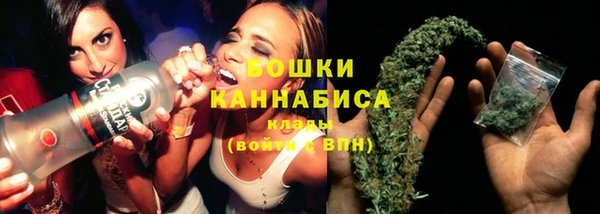 ПСИЛОЦИБИНОВЫЕ ГРИБЫ Аркадак