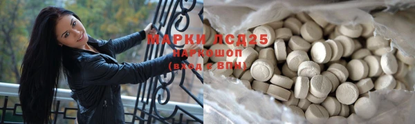 ПСИЛОЦИБИНОВЫЕ ГРИБЫ Аркадак