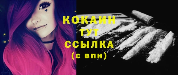 дживик Касимов